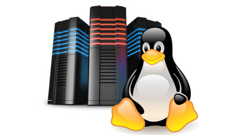linux-hosting-solutions-by-nova-tech-zone